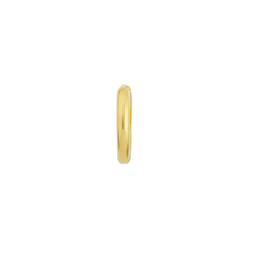 Very Small Gold Hoop Earrings